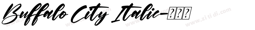 Buffalo City Italic字体转换